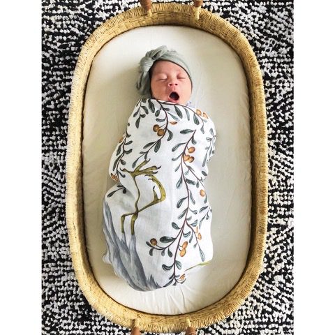 Newborn baby in bassinette